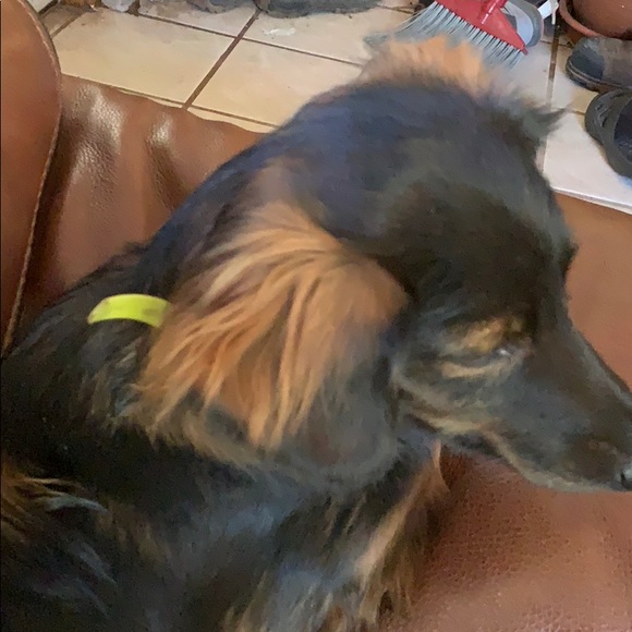 Meet your Posher, Adam - Picture 1 of 2